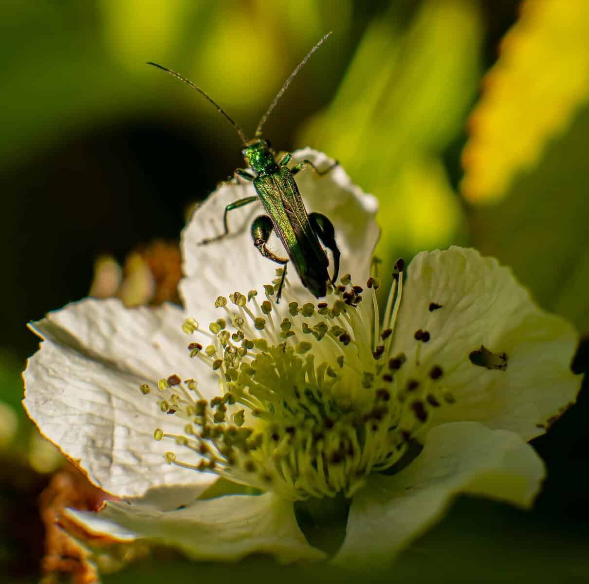 How To Choose The Right False Eyelash Style For Your Eye Shape. How To Choose The Right False Eyelash Style For Your Eye Shape.