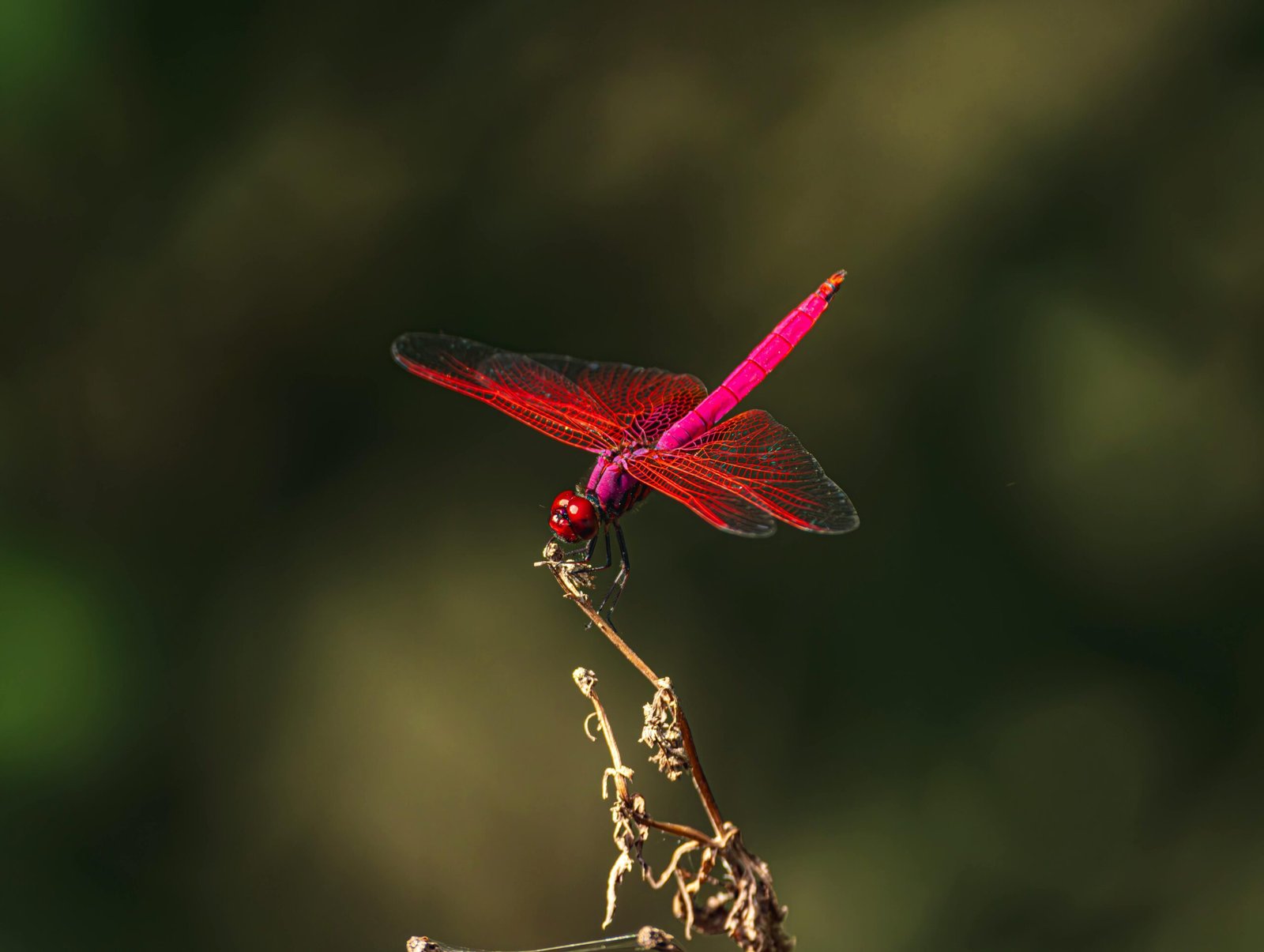 Paris Jackson Claps Back After Haters Call Her Haggard in Makeup-Free Selfie