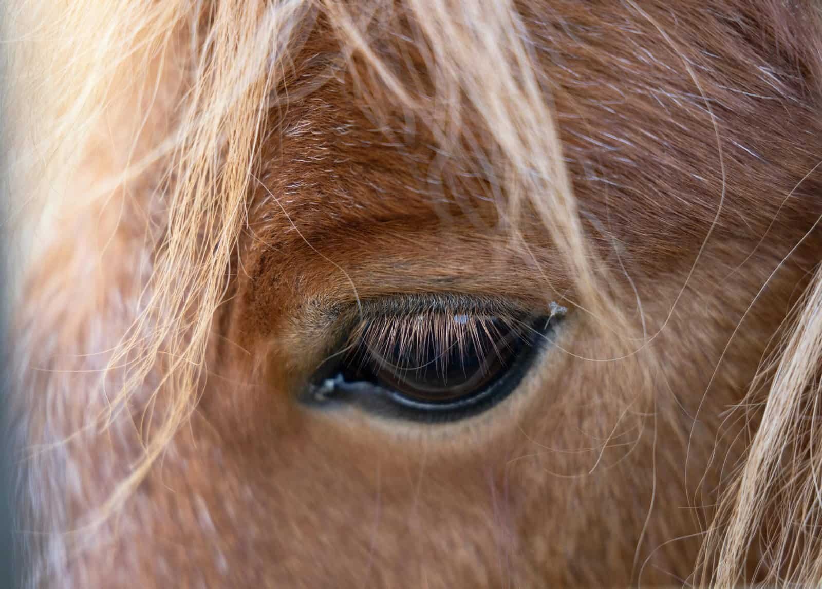 Quick Fixes For Lifting False Eyelashes.