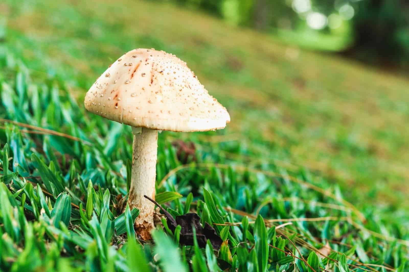 The Best Tinted Moisturizers to Keep Mature Skin Dewy and Fresh