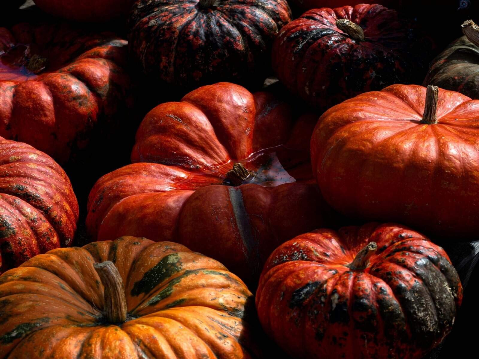 Pumpkin-Spice Makeup Is Trending for Fall, Because of Course It Is Pumpkin-Spice Makeup Is Trending for Fall, Because of Course It Is