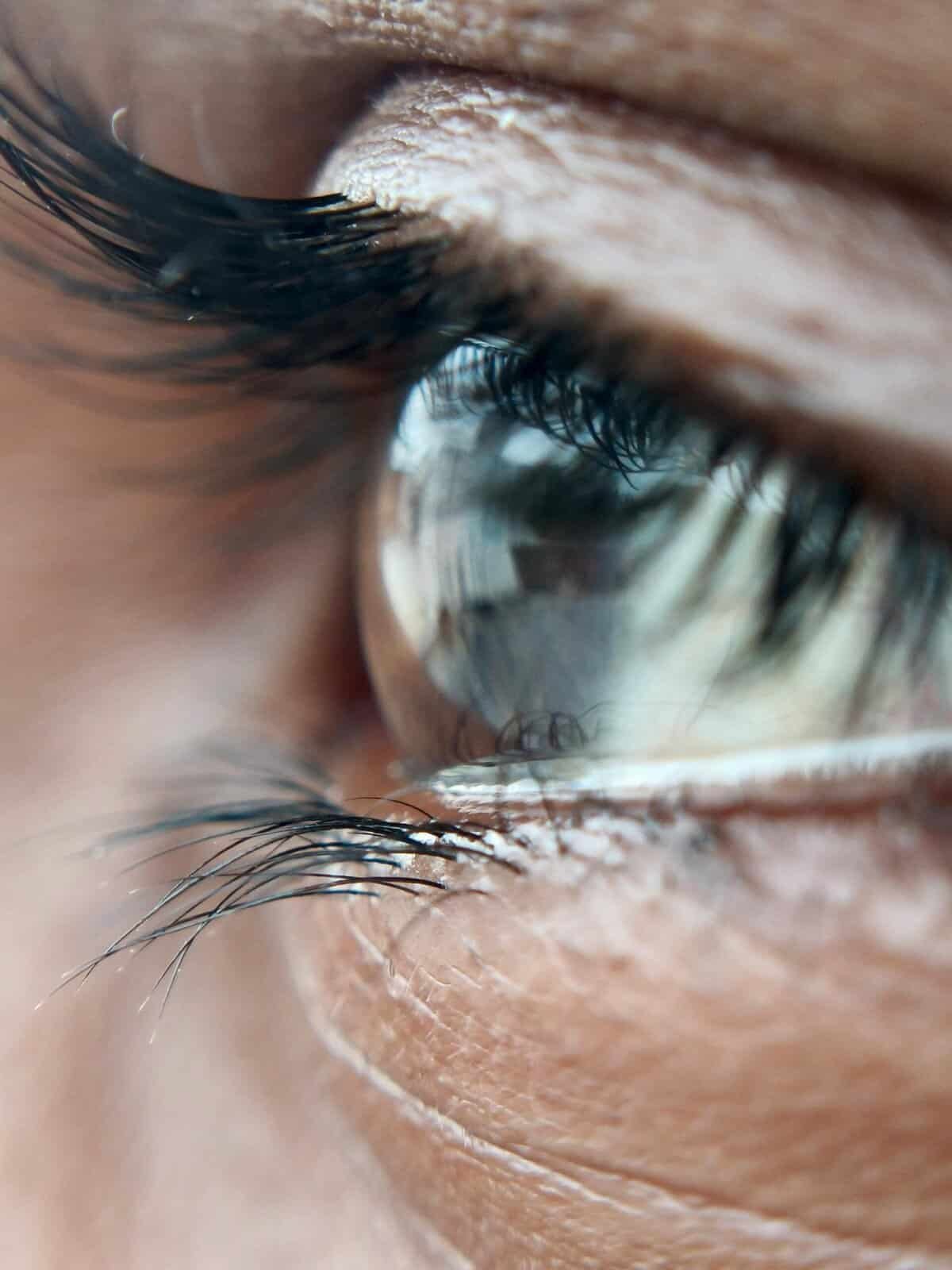 How To Apply Lashes For An Elongated Eye Shape. How To Apply Lashes For An Elongated Eye Shape.