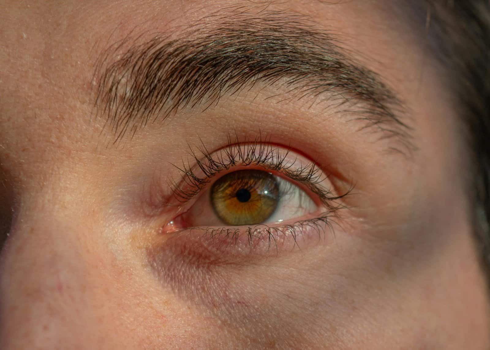 HBZGTLAD Wholesale Eyelashes Review